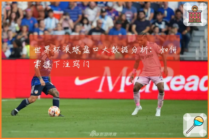 世界杯滚球盘口大数据分析：如何掌握下注窍门