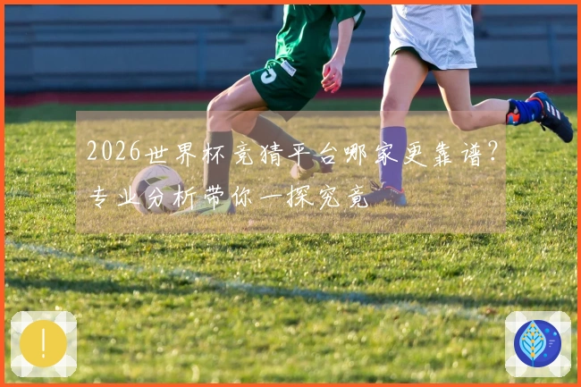 2026世界杯竞猜平台哪家更靠谱？专业分析带你一探究竟