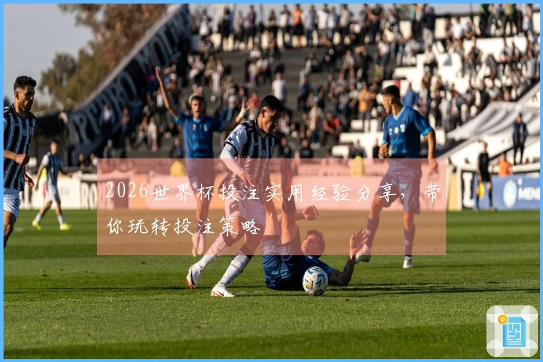 2026世界杯投注实用经验分享，带你玩转投注策略